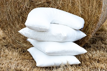 Picture of Aussie Wool Comfort Pillow - Pure Australian Wool Pillows 48x70cm