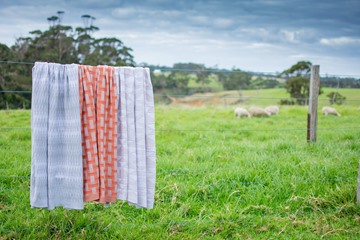 Picture of Merino Snug Nairobi Merino Wool Knit Throw Rug 150cm x 100cm Grey Drizzle/Marshmallow CLEARENCE