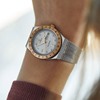 Picture of Timex Women's 36mm Q Silver/Rose Gold  Watch