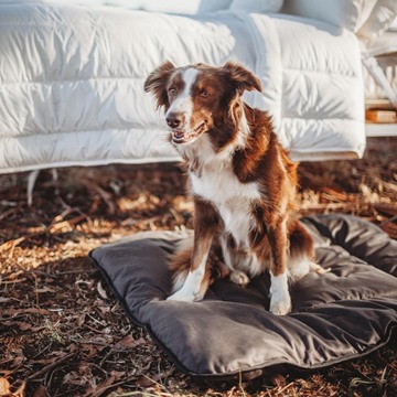 Picture of Aussie Wool Comfort - Pure Australian Wool Washable Pet Beds