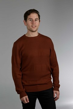 Picture of Bridge and Lord Self Stripe Contrast Crew - Toffee