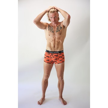 Picture of Reer Endz Underwear Organic Cotton Men's Trunk in Outback Feels