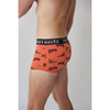 Picture of Reer Endz Underwear Organic Cotton Men's Trunk in Outback Feels